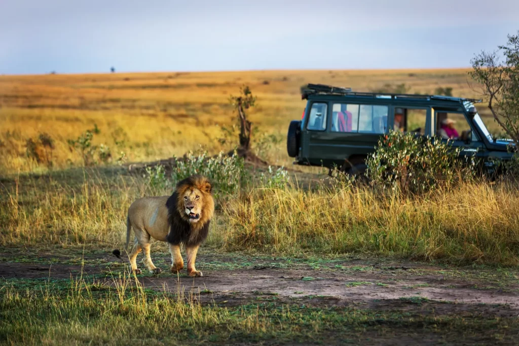 Exciting Facts About Masai Mara That Every Tourist Should Know